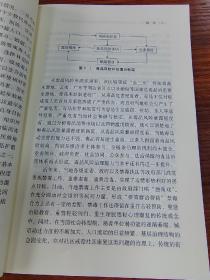 嵌入与网络：西南民族地区禁毒社会组织制度结构优化的路径选择