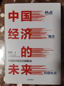 中国经济的未来：热点、难点和增长点 正版