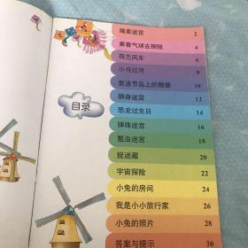 趣味大迷宫/丁呱呱智力世界