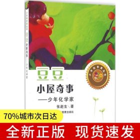 豆豆小屋奇事——少年化学家（少年科学家丛书）身边的科学在探险中学习各科知识6-12岁科学百科全书儿童文学科普小学生课外读物