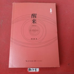 寻找安详系列：醒来（修订版）