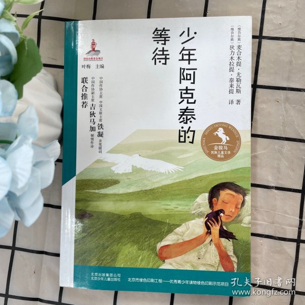 金骏马民族儿童文学精品 少年阿克泰的等待