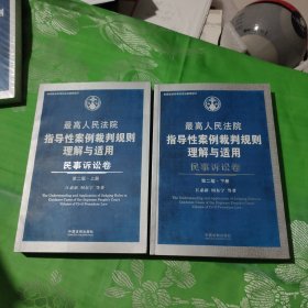 最高人民法院指导性案例裁判规则理解与适用：民事诉讼卷（上下册）（第2版）