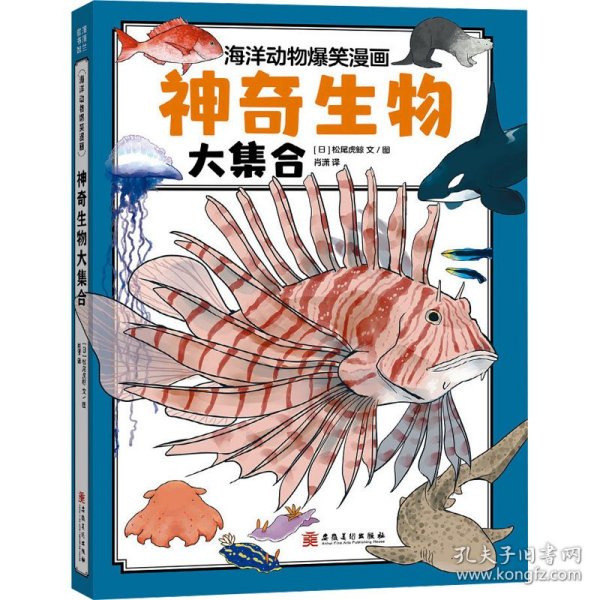 神奇生物大集合（海洋里的庞然大物都有谁？鲸类也有“左撇子”和“右撇子”？海洋科普系列）