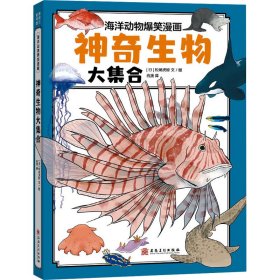 神奇生物大集合（海洋里的庞然大物都有谁？鲸类也有“左撇子”和“右撇子”？海洋科普系列）