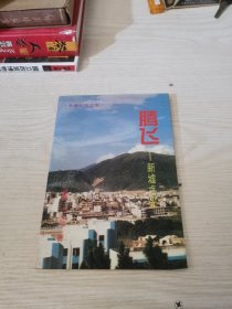 腾飞——（惠阳）新墟之光