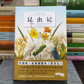 昆虫记（第6卷）：第六卷 松毛虫的行进行列