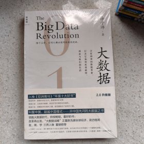 大数据：正在到来的数据革命，以及它如何改变政府、商业与我们的生活