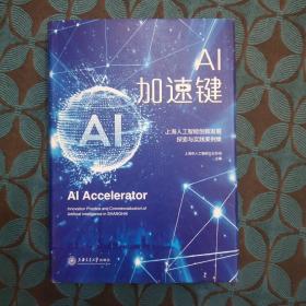 AI加速键：上海人工智能创新发展探索与实践案例集