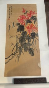 杨建候花卉