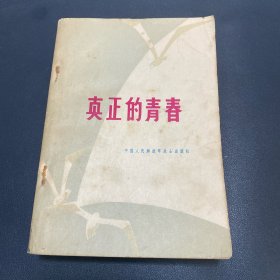 真正的青春