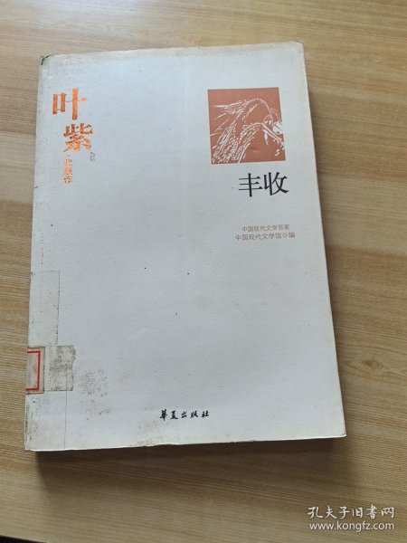 叶紫代表作