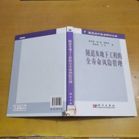 岩土工程新技术与应用丛书：隧道及地下工程的全寿命风险管理