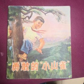 勇敢的小山雀B2