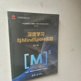 深度学习与MindSpore实践（未开封）