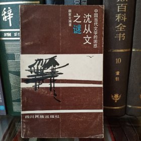 沈从文之谜:中国当代文学的困惑2－2－3－3