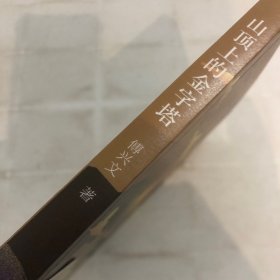 山顶上的金字塔（二十年的初恋情怀，作者傅兴文十五年的酝酿书写）