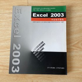 Excel 2003中文电子表格