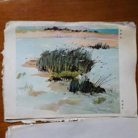 水粉写生画选（内有水粉画12张）