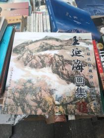 王延海画集