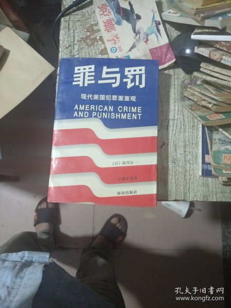 罪与罚:现代美国犯罪面面观