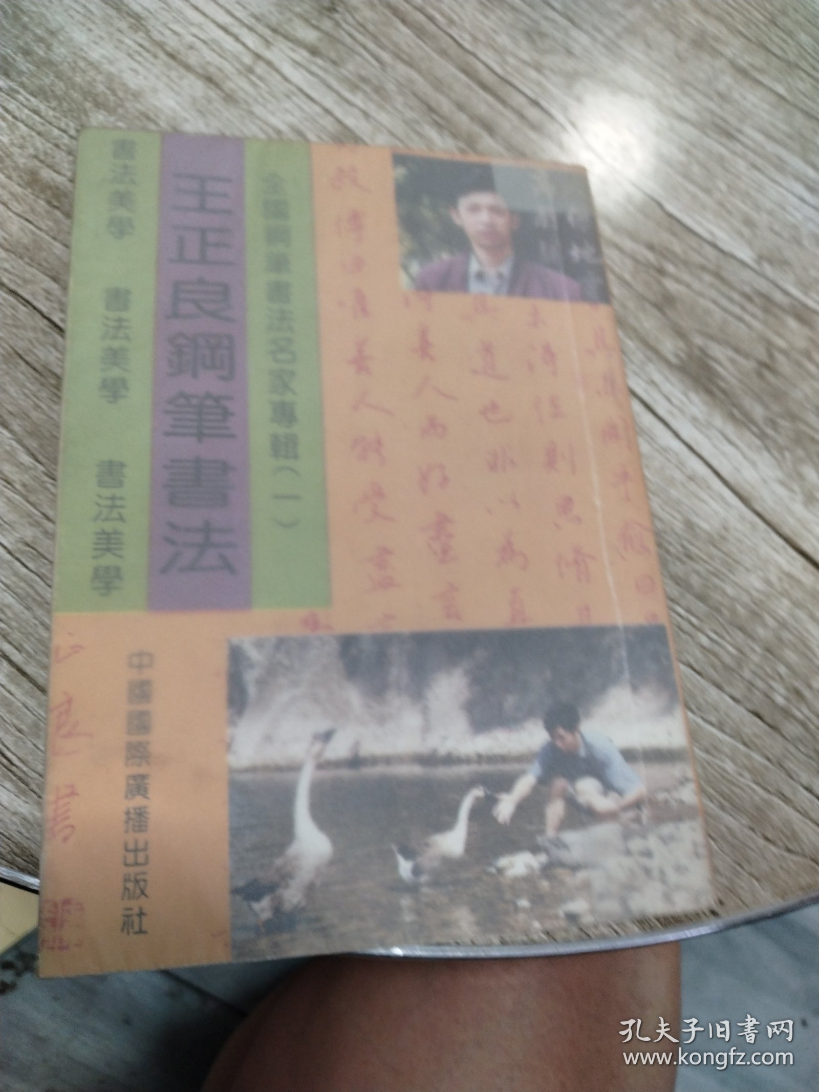 王正良钢笔书法