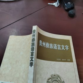 贵州彝族语言文字