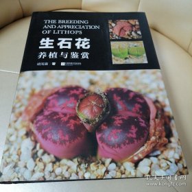 生石花养殖与鉴赏