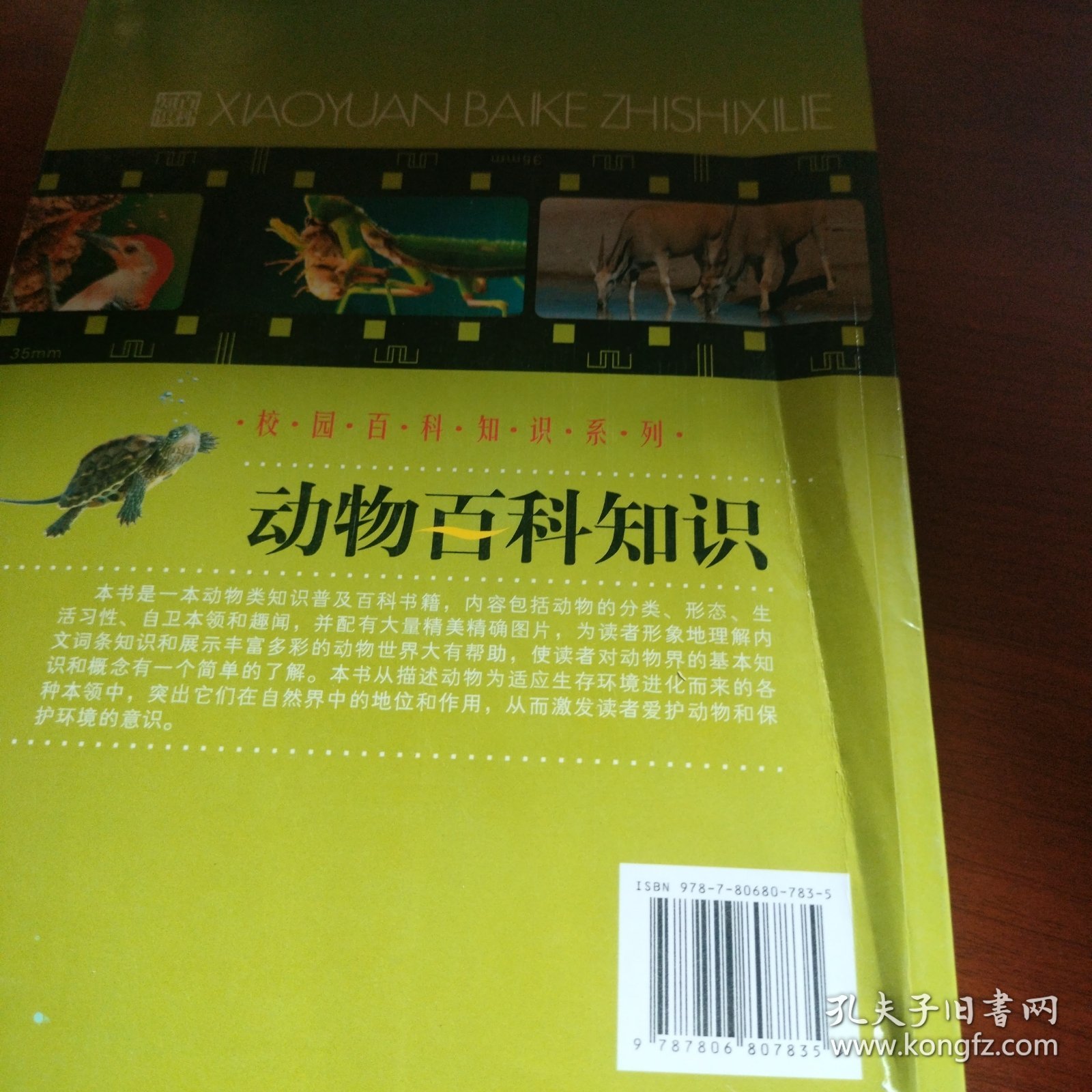 动物百科知识