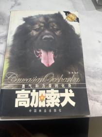 高加索犬