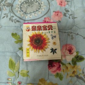 亲亲宝贝幼儿启蒙掌中宝卡片17张：植物篇