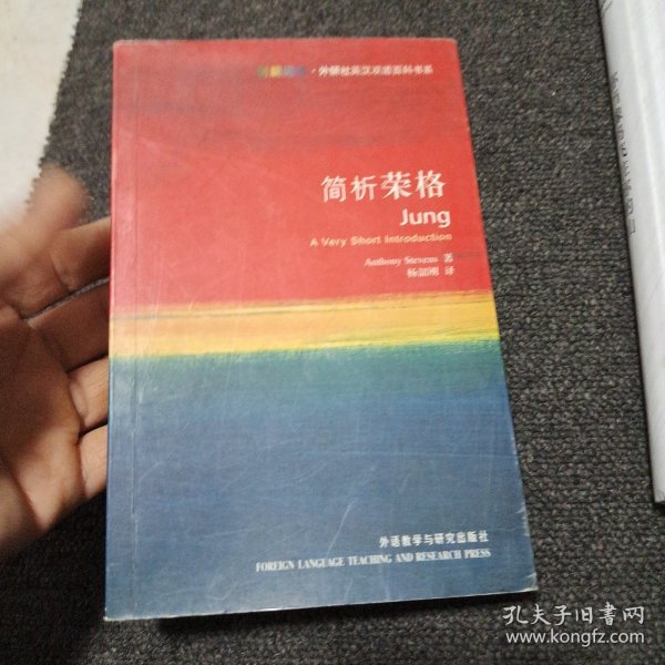 简析荣格：Jung: A Very Short Introduction