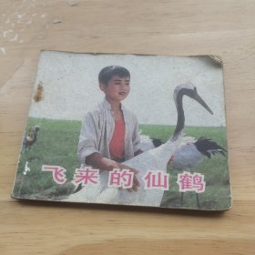 飞来的仙鹤