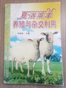 夏洛莱羊养殖与杂交利用