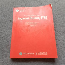 Segment Routing 详解 第一卷