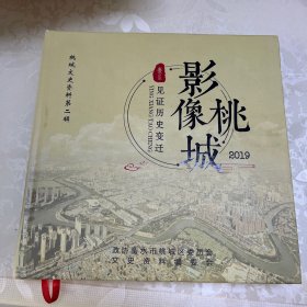 影像桃城 2019见证历史的变迁