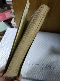 皇父摄政王多尔衮全传