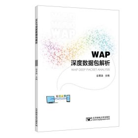WAP深度数据包解析