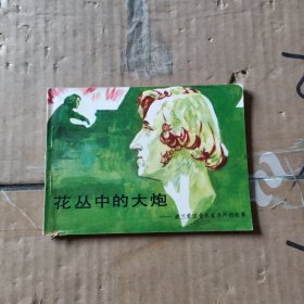 花丛中的大炮