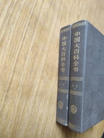 中国大百科全书.美术1、2（Ⅰ、Ⅱ）全二册 2册合售（精装本）