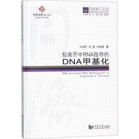 拟南芥中RNA指导的DNA甲基化