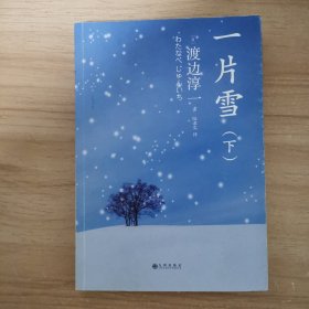 一片雪（全两册）