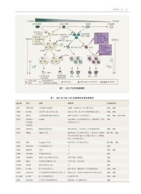 全新 中华医学百科全书?肿瘤学（二）