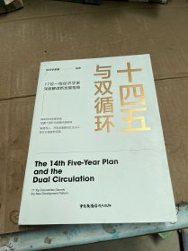 十四五与双循环:17位一线经济学家深度解读新发展格局（国内大循环国内国际双循环）