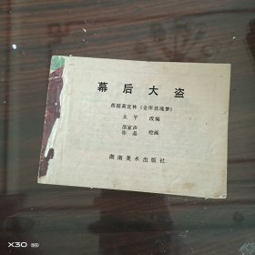 幕后大盗