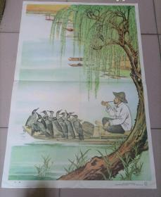 教学挂图《鸬鹚》