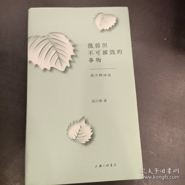 微弱但不可摧毁的事物：胡少卿诗选