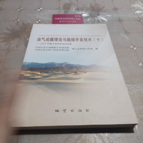 油气沉罐理论与勘探开发技术十