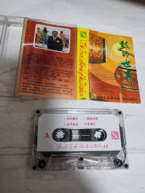 鼓的世界—安志顺磁带