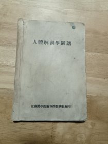 人体解剖学图谱